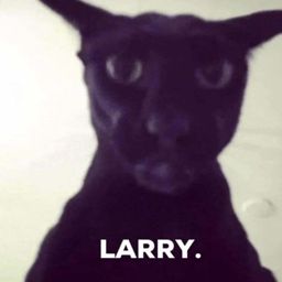 Larry the Evil Cat